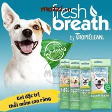 Gel đánh răng thú cưng